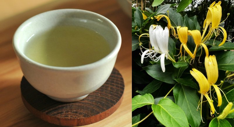 Cum se prepara ceaiul de caprifoi si ce beneficii are asupra sanatatii