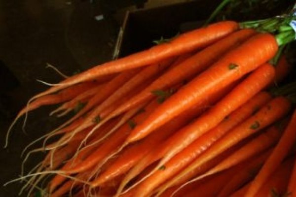 Lucruri incredibile despre morcovi