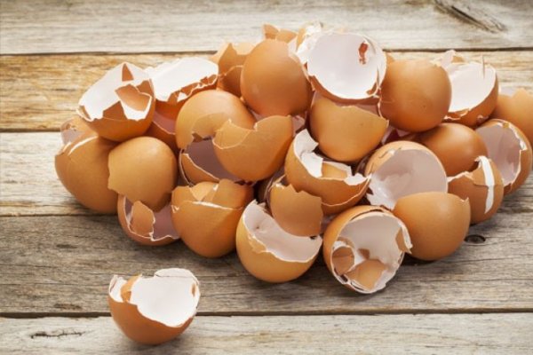 Ce poti face cu cojile de la oua - 9 idei utile si creative in care le poti folosi