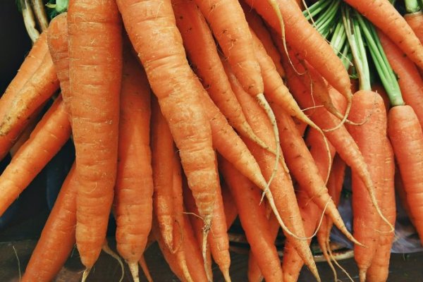 Cum se pastreaza morcovii pentru iarna. 6 metode utile si efieciente